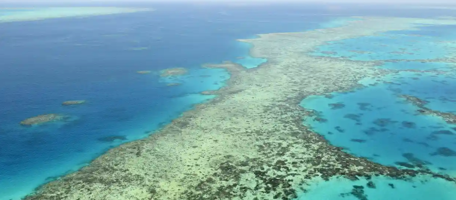 Australia and 11 other countries lobby Unesco over Great Barrier Reef decision-making